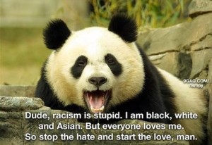 racism-is-stupid